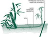 Bamboo root barrier roll 9m x 40cm