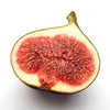 Fig Tree Brown Turkey plants